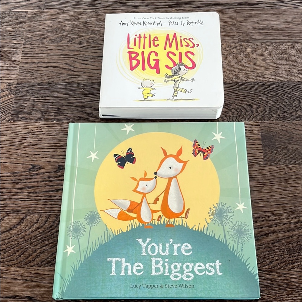 Big sister books